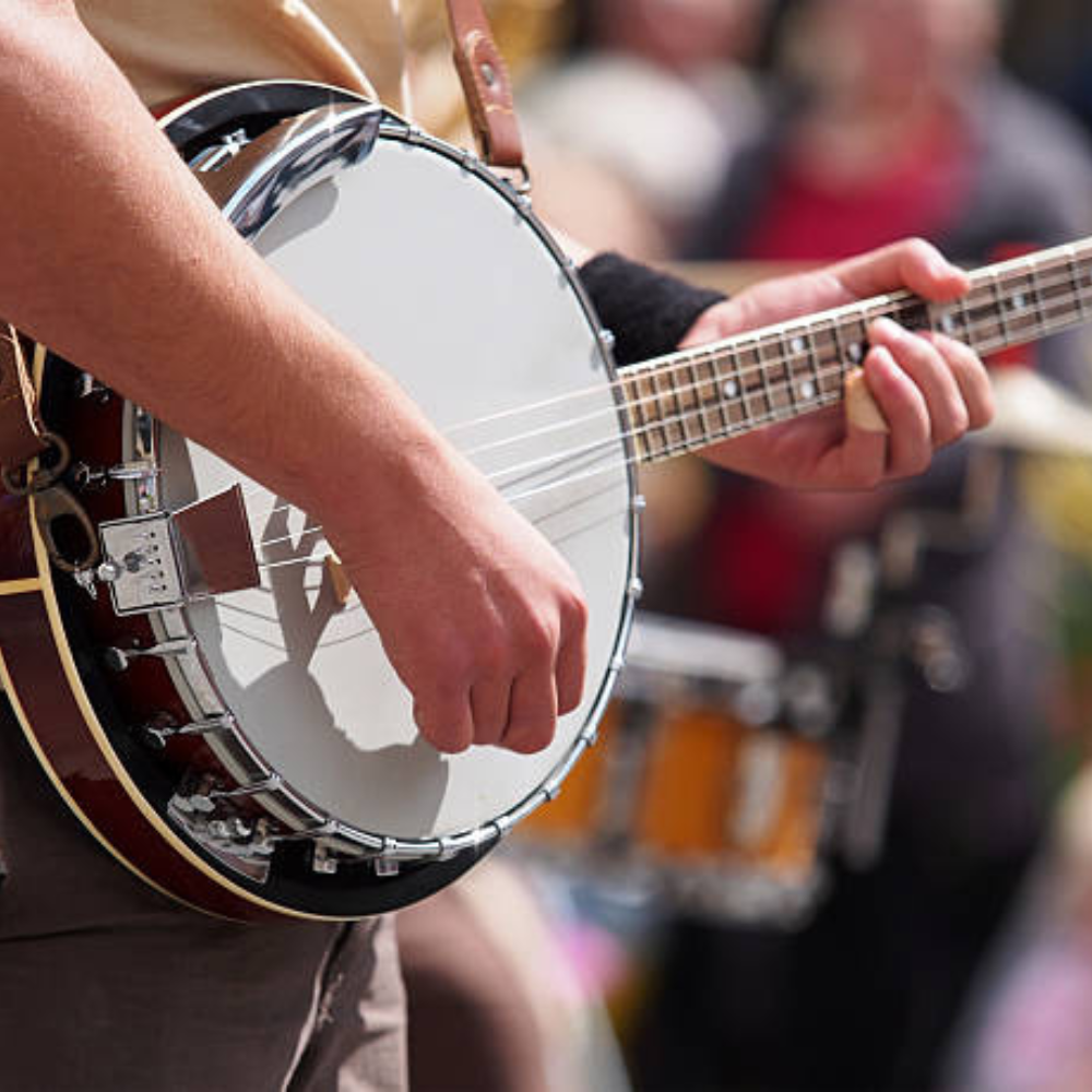 Mandolin and Banjo