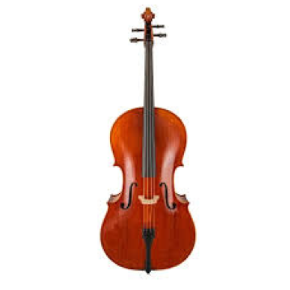 Cellos 3/4 Size