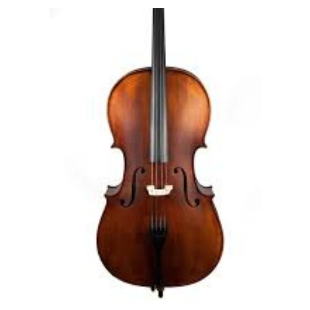 Double Bass