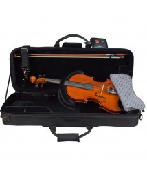 Viola Cases