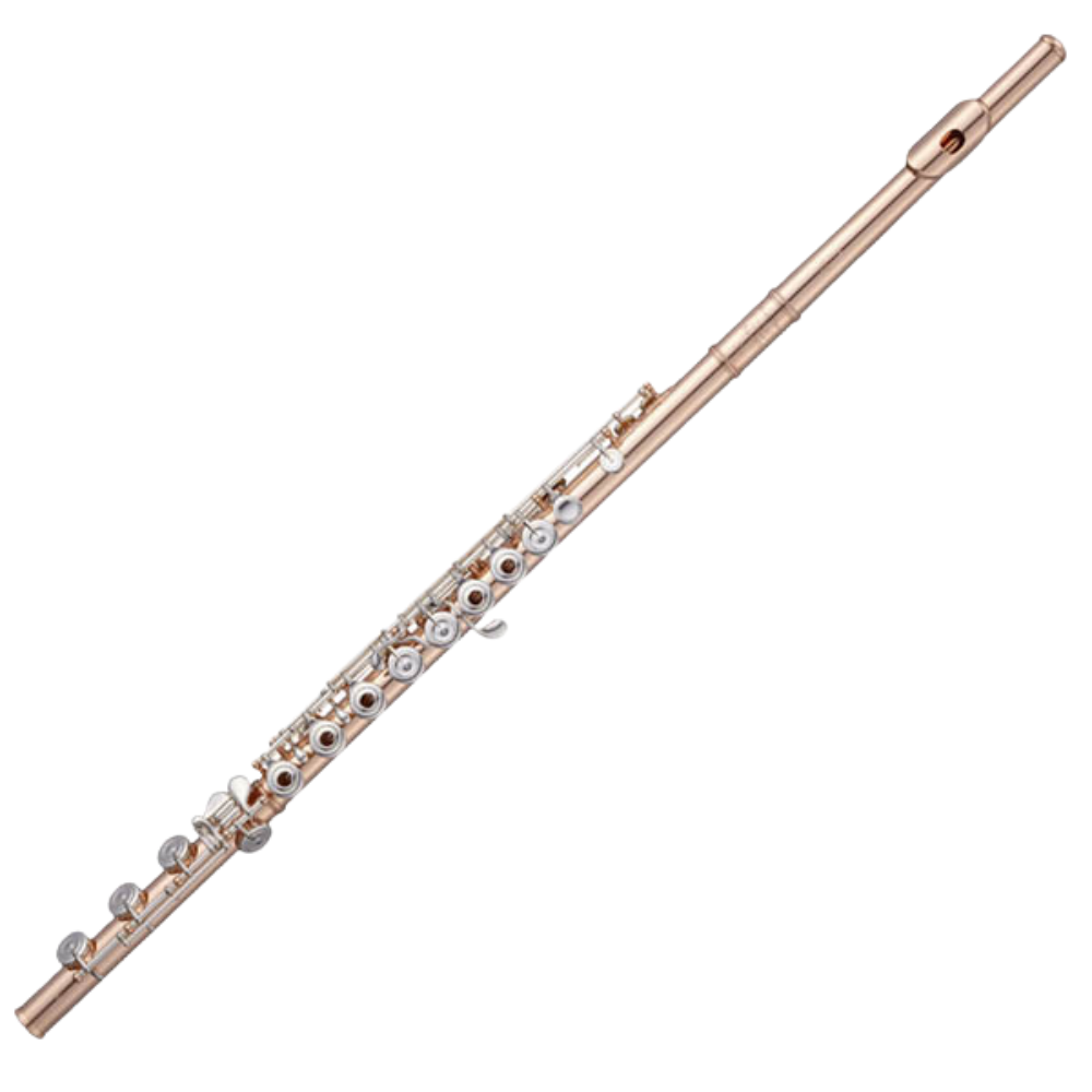 Professional Flutes