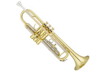 Trumpet Cases