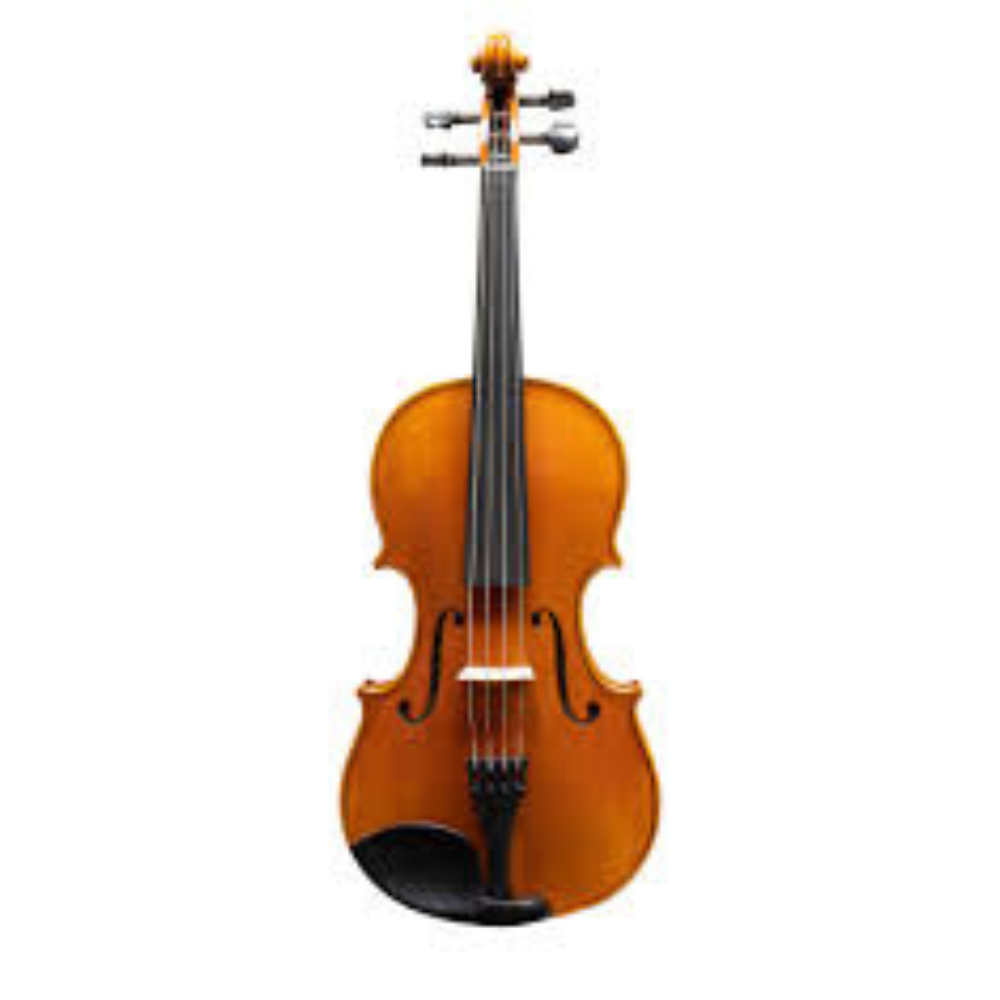 Violas