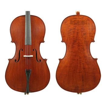 Student Cellos