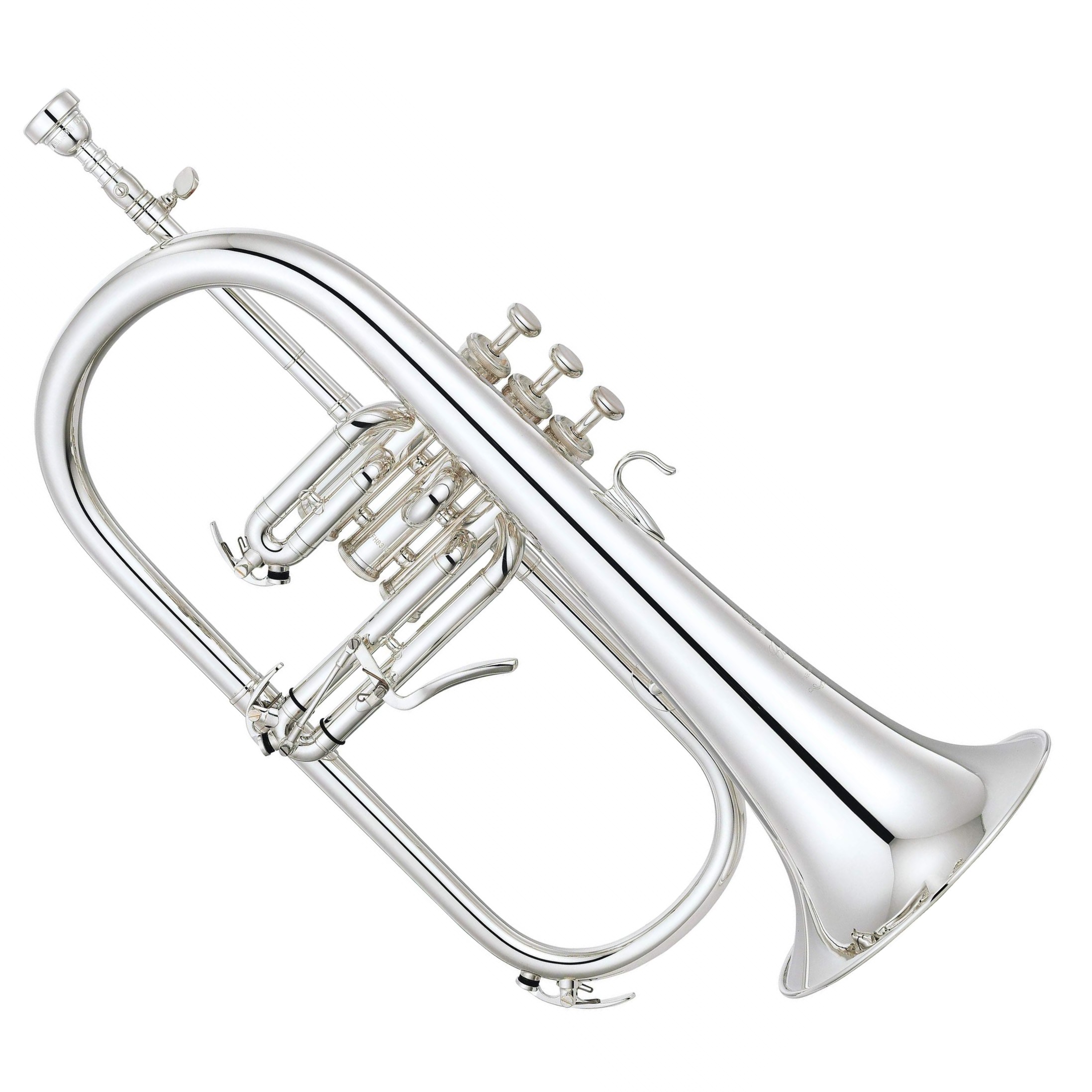 Professional Flugelhorns